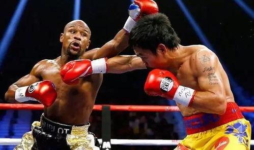 吃瓜娱乐拳击比赛视频大全